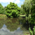 Úspešný výlet do Richmond Park